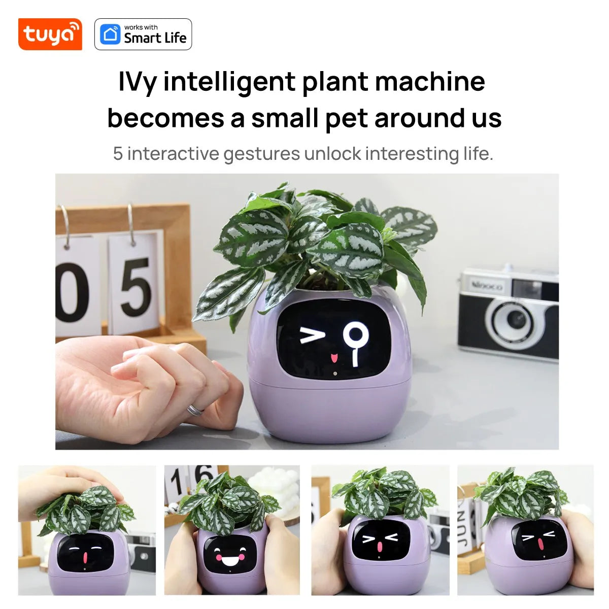 Ivy Smart Planter Pro