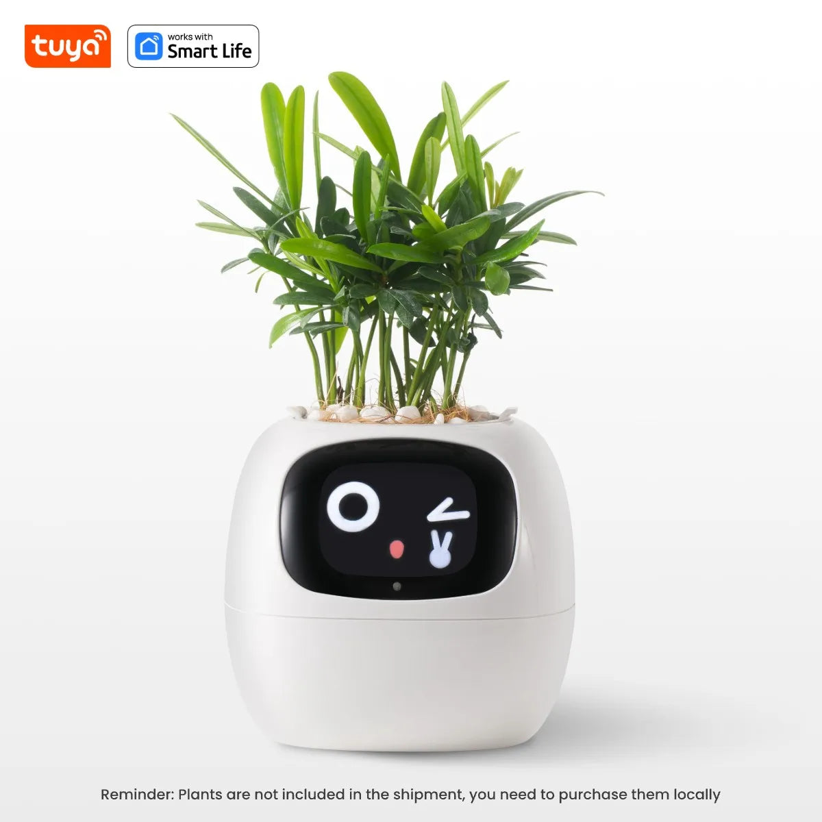 Ivy Smart Planter Pro