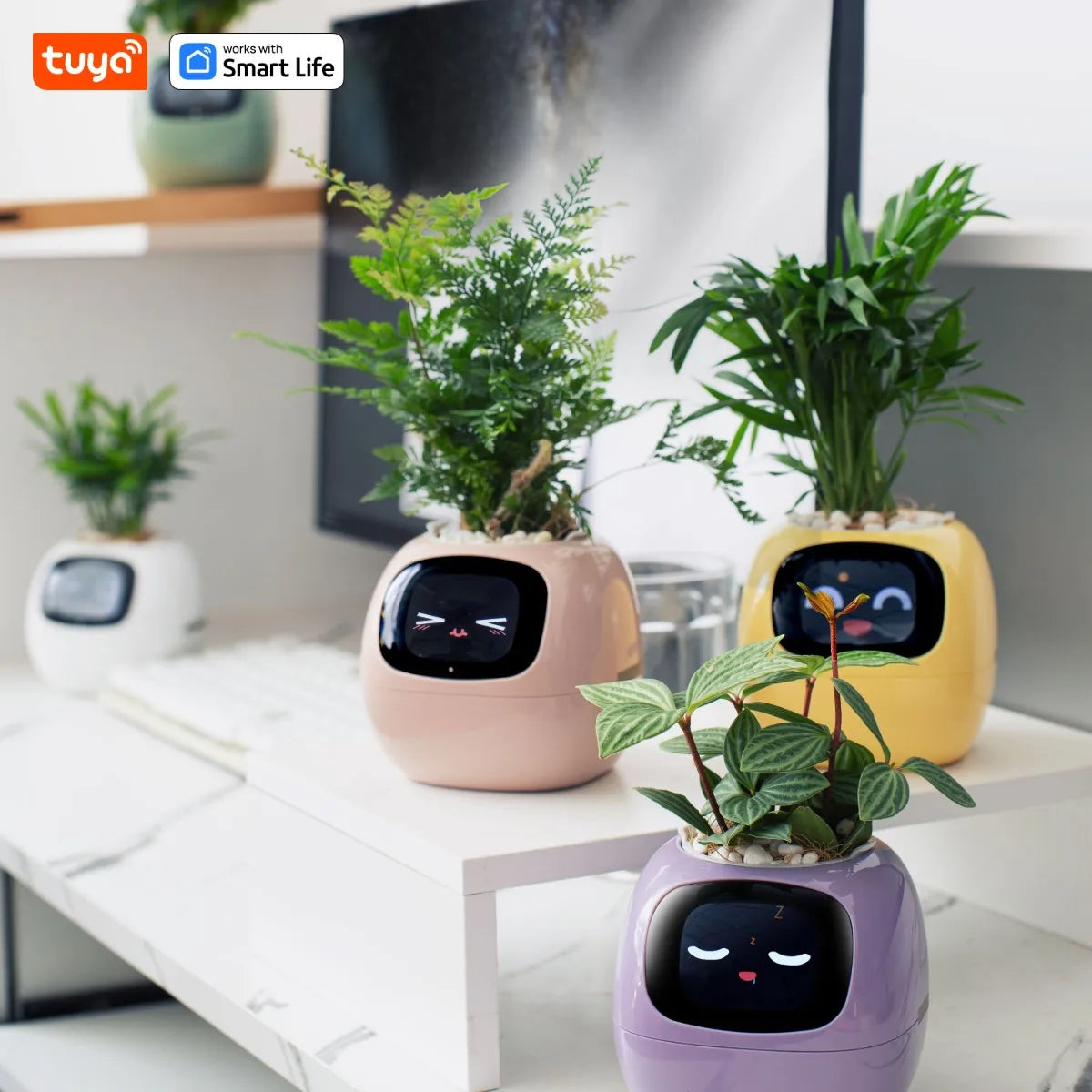 Ivy Smart Planter Pro
