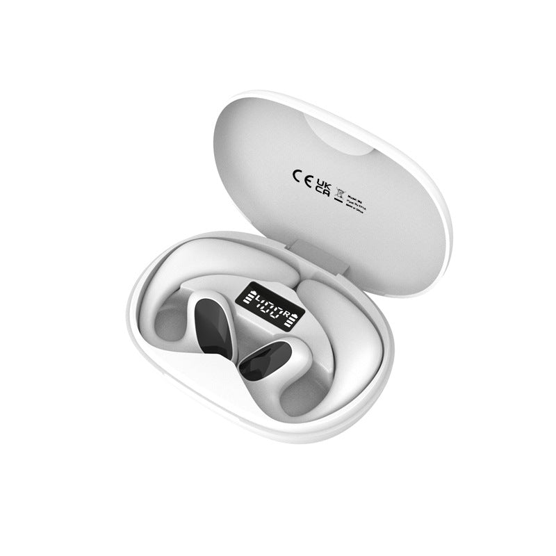 AI Powered Smart Translator Earbuds