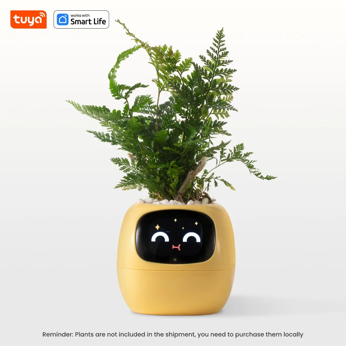 Ivy Smart Planter Pro