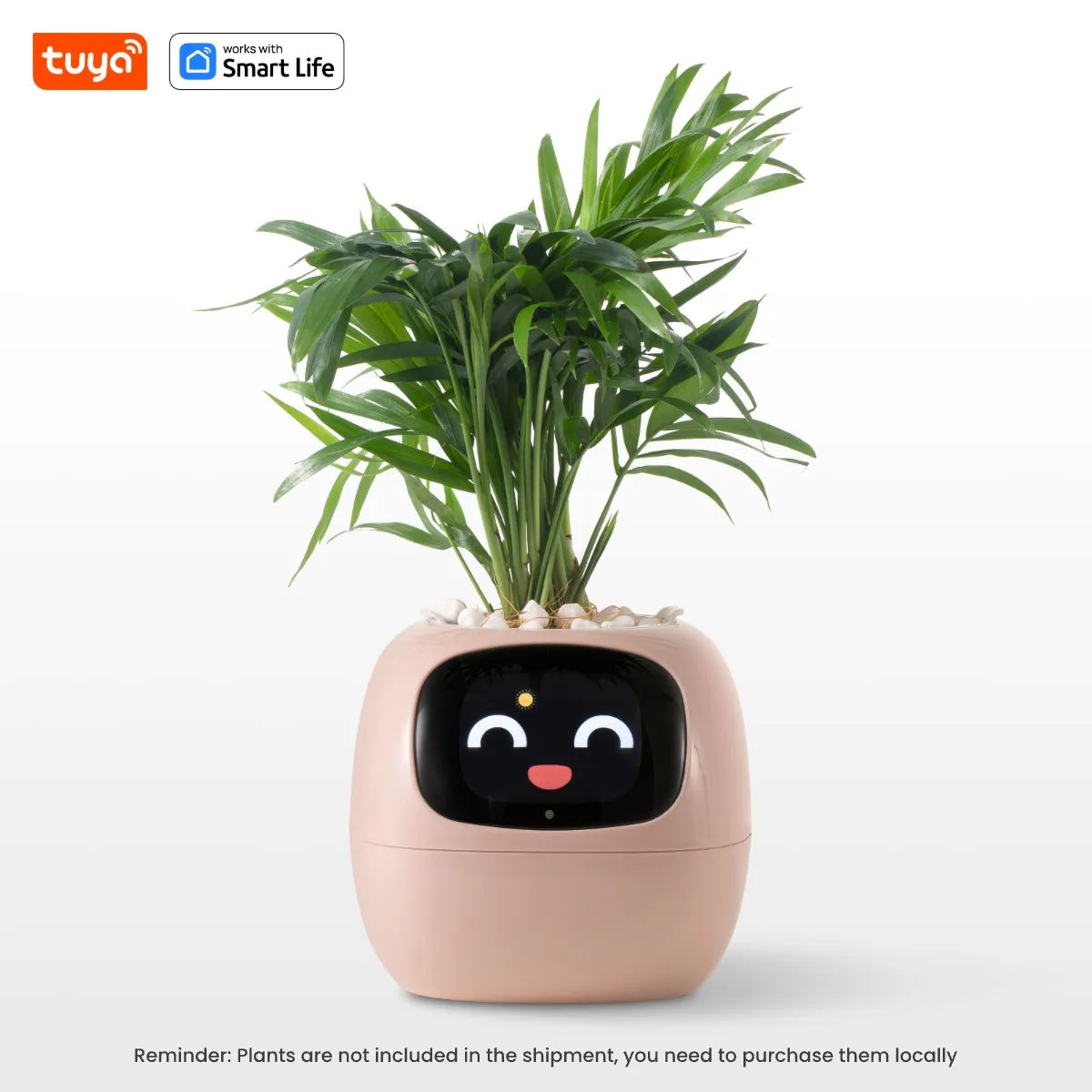 Ivy Smart Planter Pro