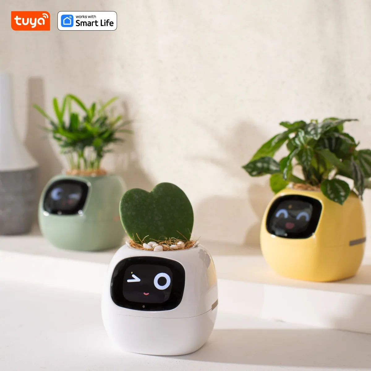 Ivy Smart Planter Pro