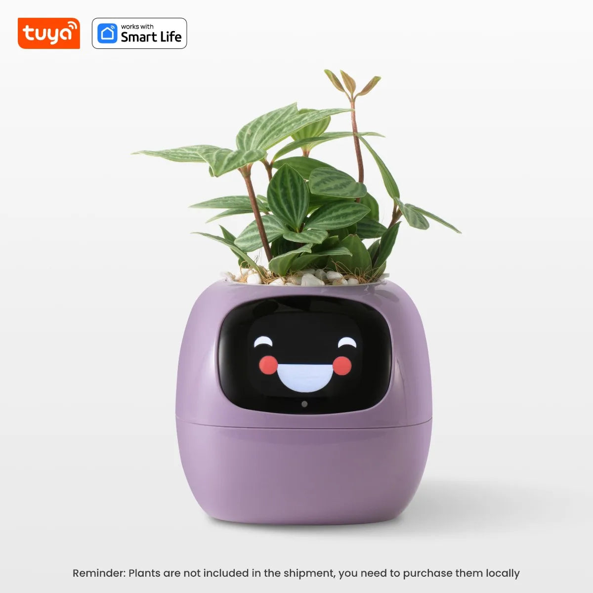 Ivy Smart Planter Pro