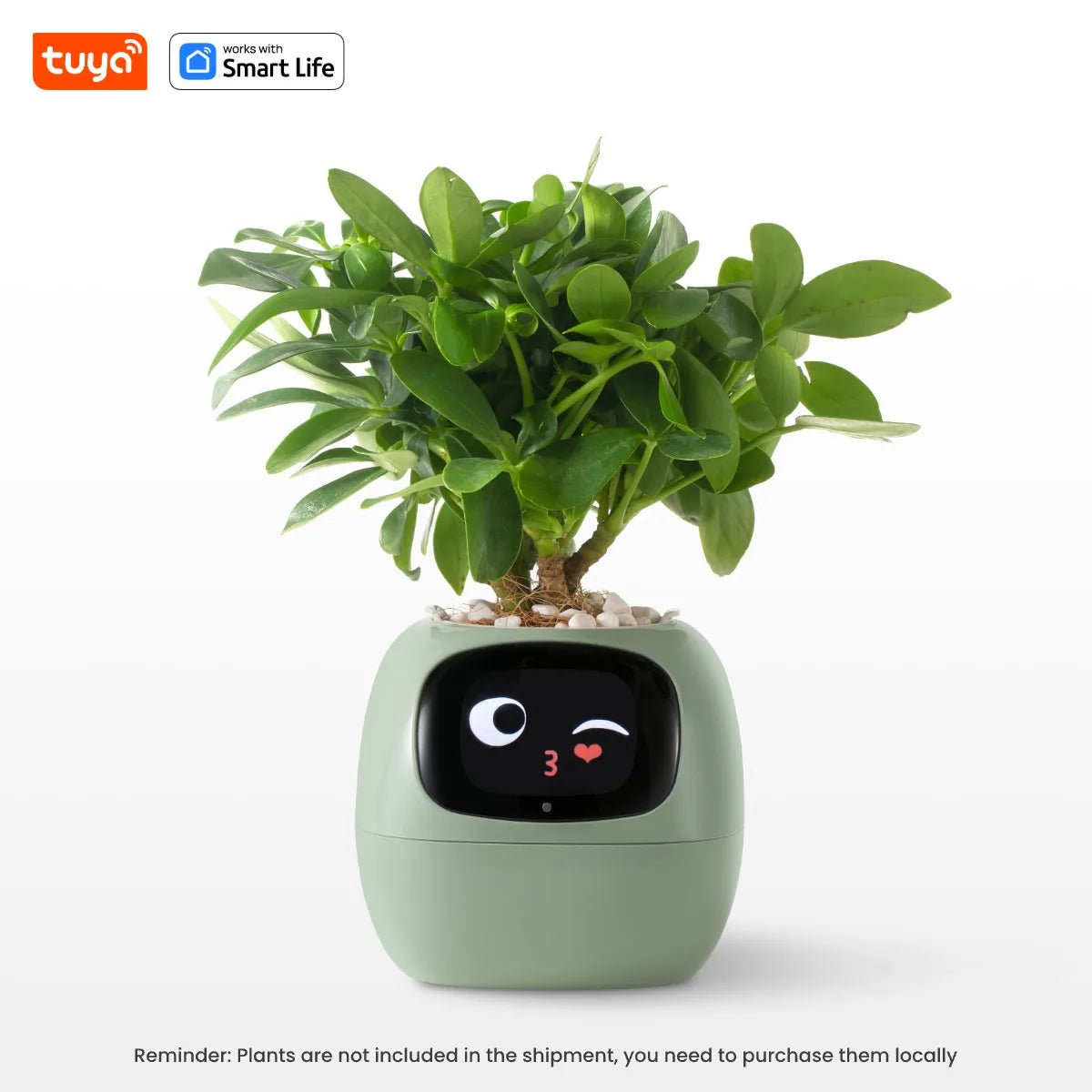 Ivy Smart Planter Pro