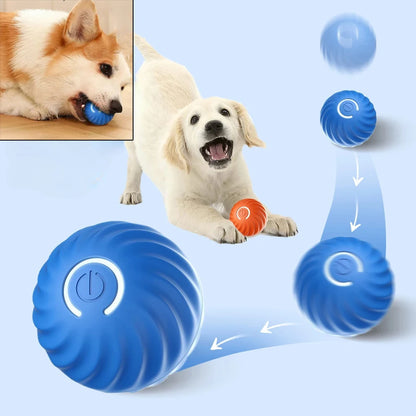 Roll-A-Pup: The Smart Self-Moving Ball for Dogs