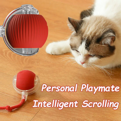 Feline Frenzy: Smart Cat Toy Ball