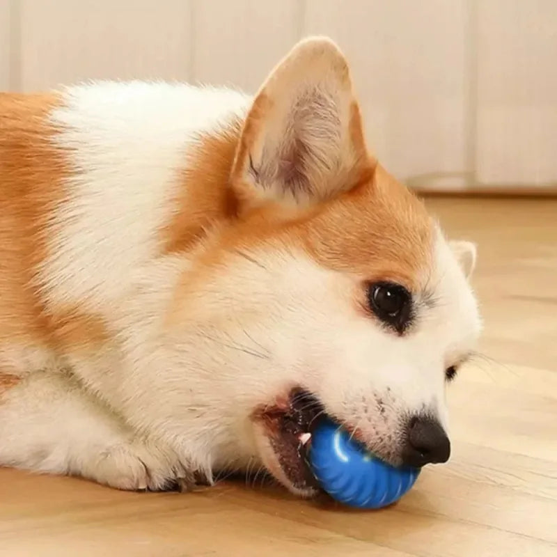 Roll-A-Pup: The Smart Self-Moving Ball for Dogs