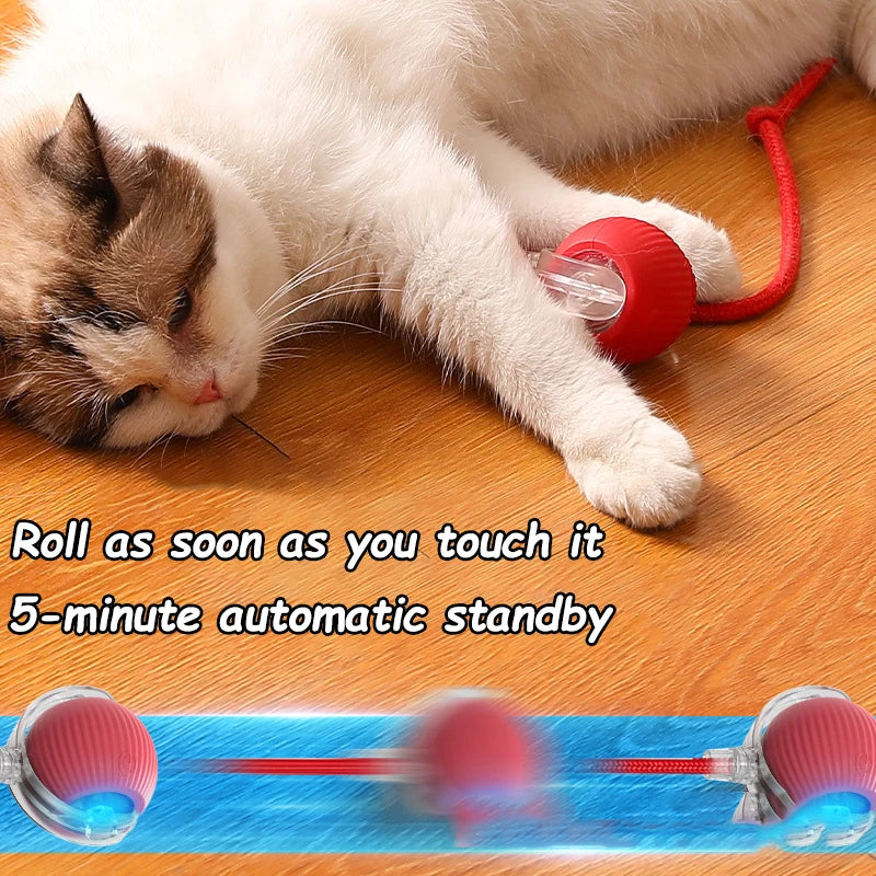 Feline Frenzy: Smart Cat Toy Ball