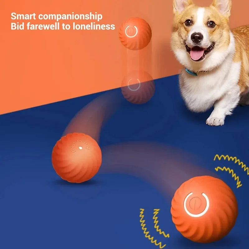 Roll-A-Pup: The Smart Self-Moving Ball for Dogs