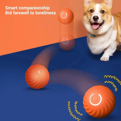 Roll-A-Pup: The Smart Self-Moving Ball for Dogs