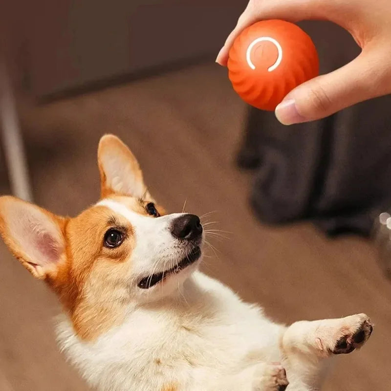 Roll-A-Pup: The Smart Self-Moving Ball for Dogs