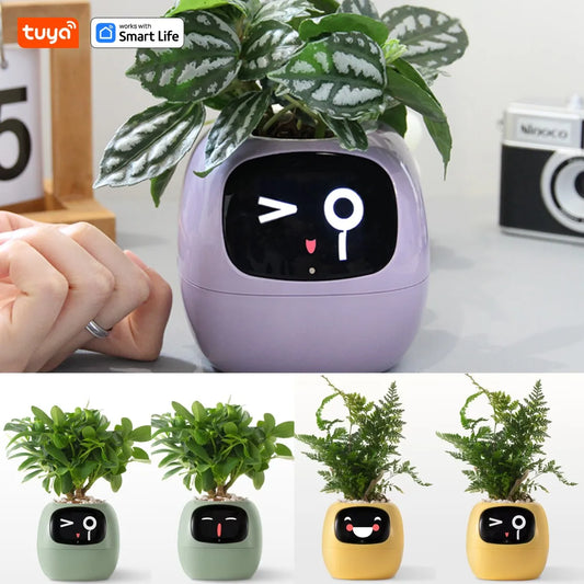 Ivy Smart Planter Pro