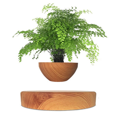 Floating Star Planter
