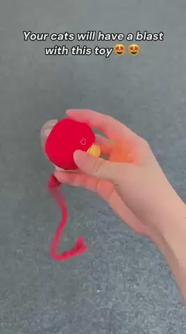 Feline Frenzy: Smart Cat Toy Ball