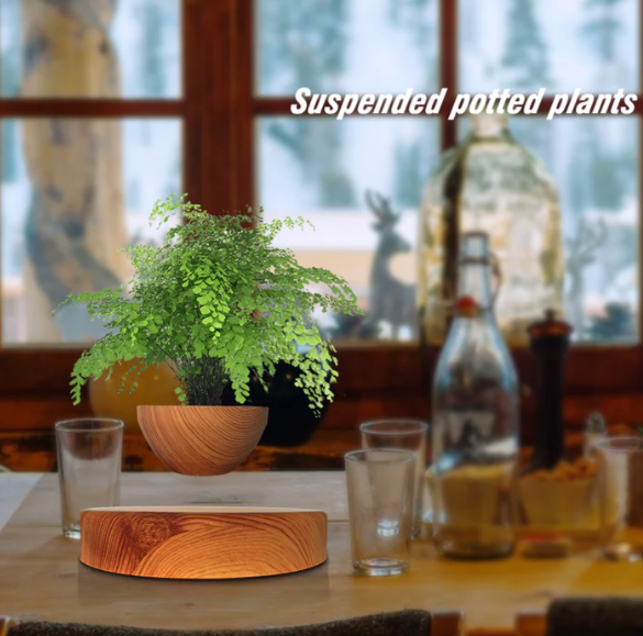 Floating Star Planter