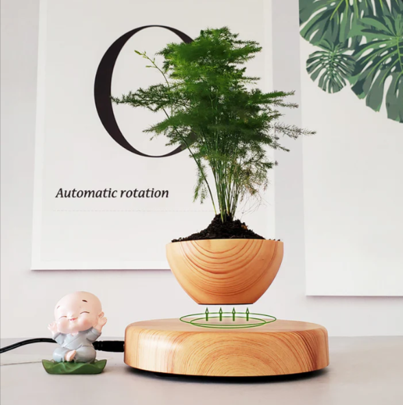 Floating Star Planter